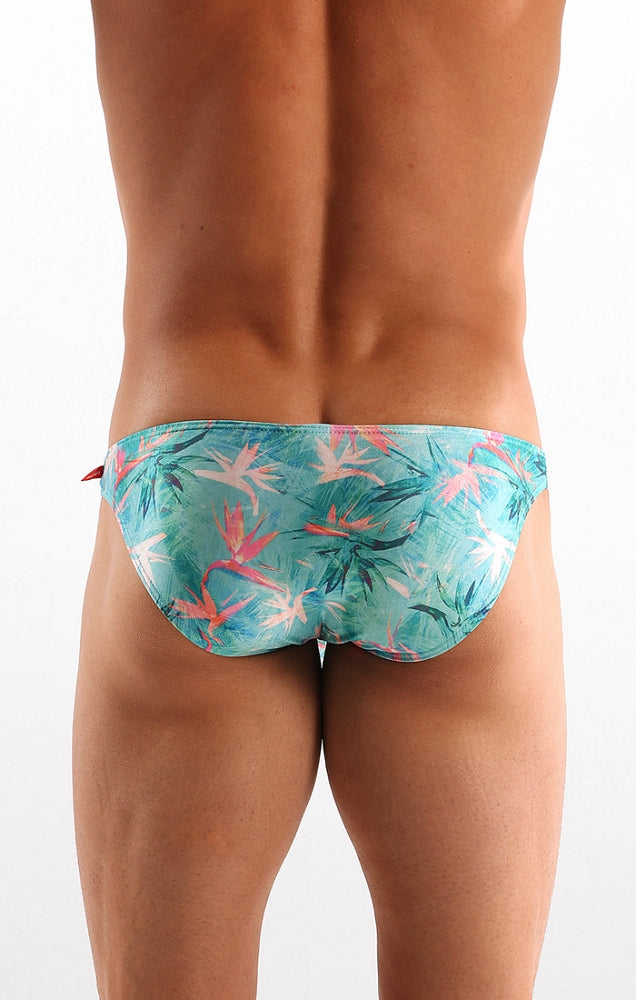 Cocksox - Swim Brief - Birds of Paradise